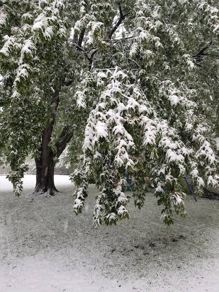 Snow, 10/14